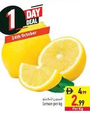 ليمون صغير
