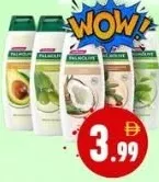 Palmolive شامبو
