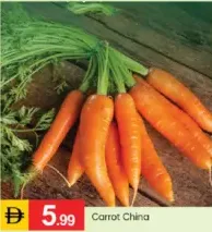 Carrot China