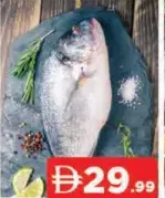 Sea Bream Fish