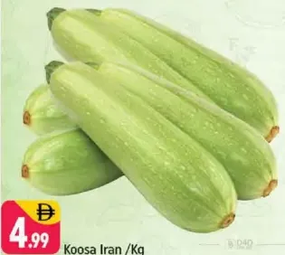 Koosa Iran