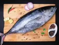 White Tuna