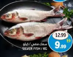 سمك السلفر