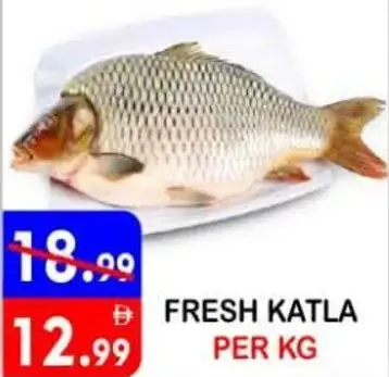 Fresh Katla