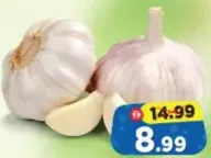 Garlic China