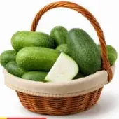 Ash Gourd (Kumbalam)