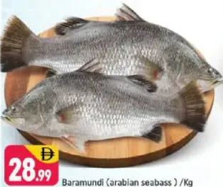 سمك باراموندي (القاروص العربي)