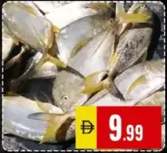 Kaduvappara Fish