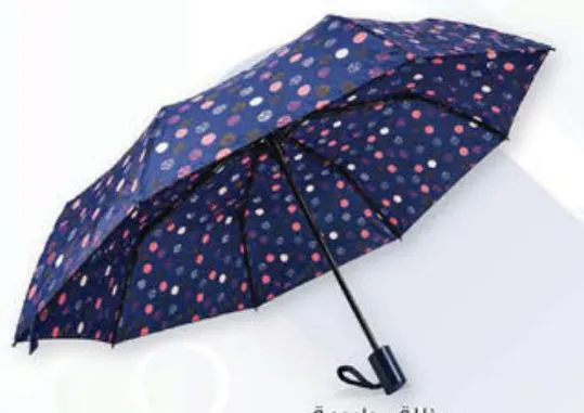 3 Fold Umbrella Print