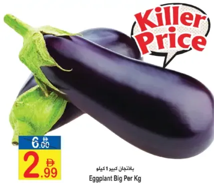 باذنجان كبير