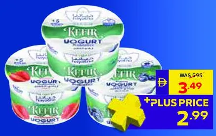 Hayatna Kefir Yoghurt Assorted
