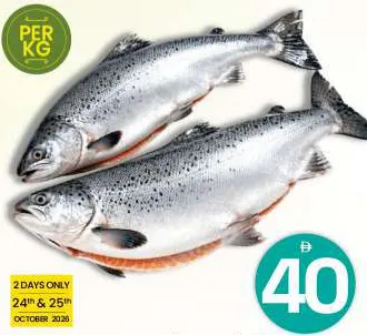 Norwegian Salmon Whole