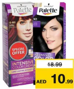 Palette Intensive Hair Color Assorted