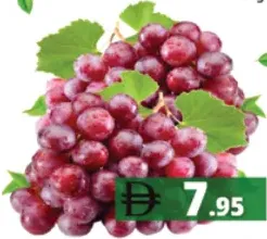 Grape Rose Pp Box big