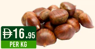 كستناء (الصين)