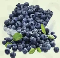 بلو بيري