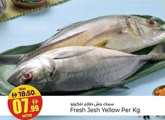 Fresh Jesh Yellow