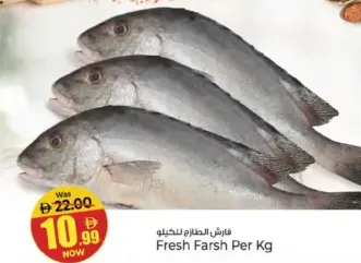 Fresh Farsh