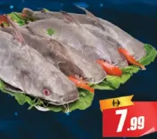 Etta Fish