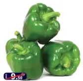 Capsicum