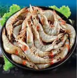 Chilled Shrimp
