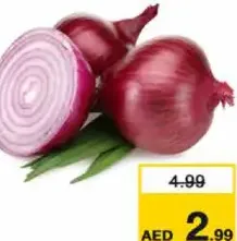 Onion