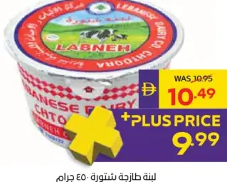 Chtoora Fresh Labneh