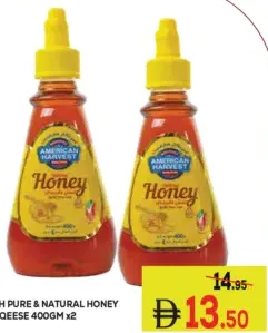 American Harvest Pure & Natural Honey Sqeese