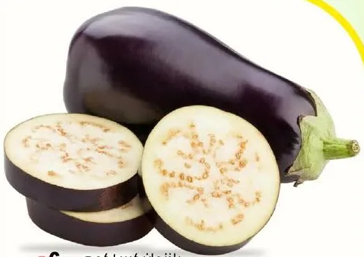 Eggplant Big