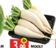 Mooly