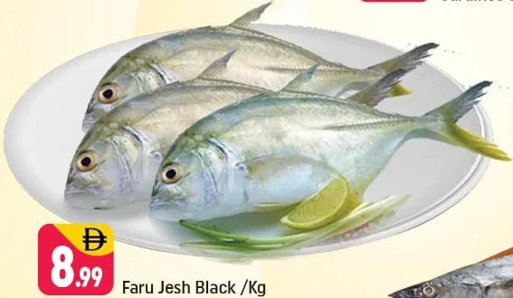 Faru Jesh Black