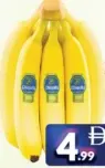 Banana Ecuador