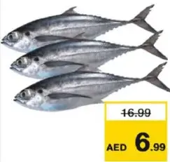 Mankada Per Kg
