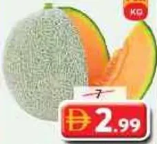 Rock Melon