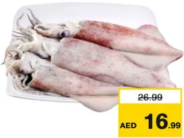Squid Fresh