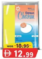 Sanita Charm Beauty Touch Make Up Pad