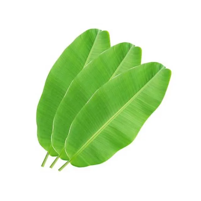 Kibsons ورق الموز