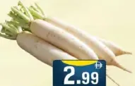 فجل