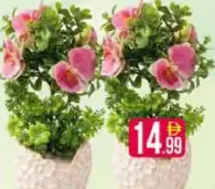 Plant-Flower 2124/82000