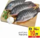 Tilapia