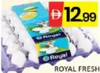 Royal Fresh White Egg