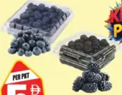 Blueberry/Blackberry