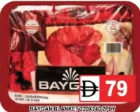 Baygan Blanket 2Ply