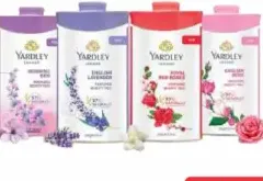 Yardley بودرة التلك إنشانتر