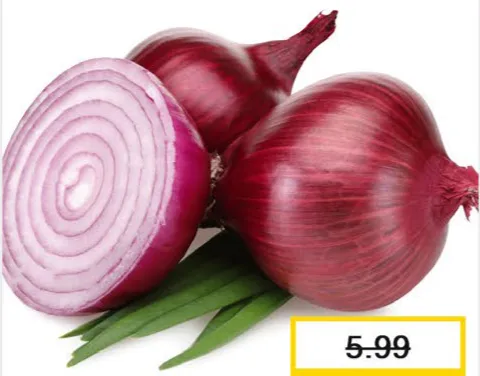 Onion