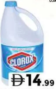 Clorox Bleach Regular