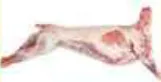 Lamb Whole Australia