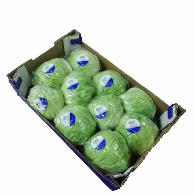 Kibsons Iceberg Lettuce