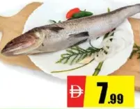 Lizard (Macaroni) Fish