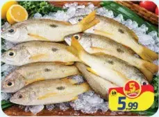 Naiser Small Fish